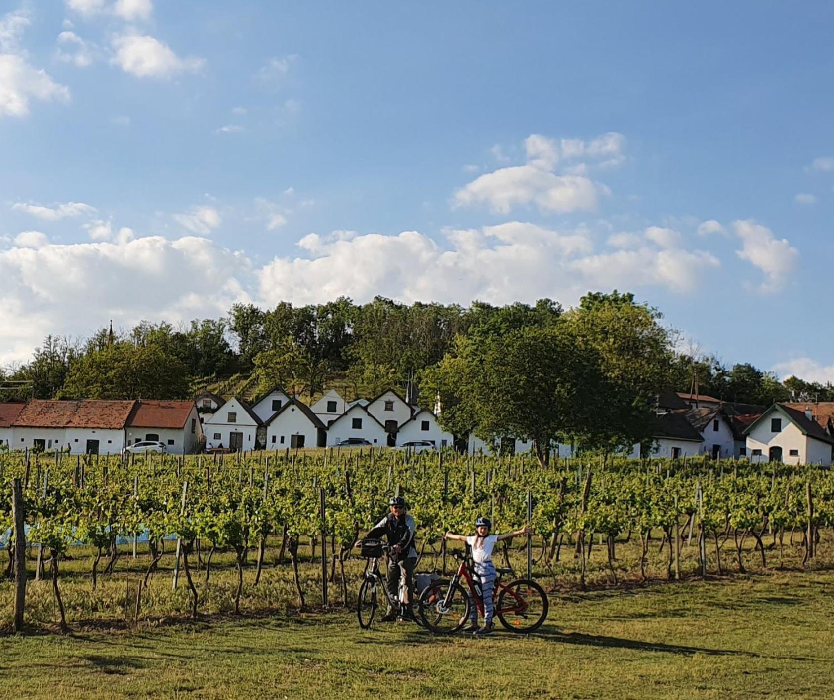 Weingut Bohrn Himmelbett Hotel Herrnbaumgarten Bagian luar foto